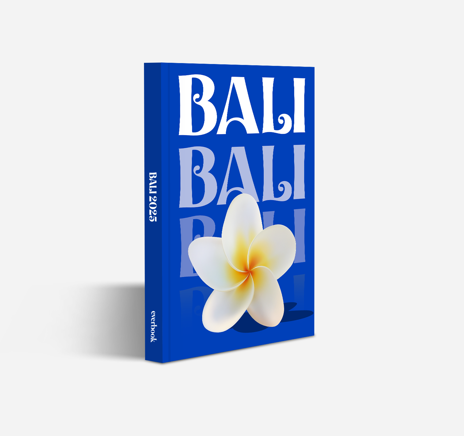 Bali Travel Photobook
