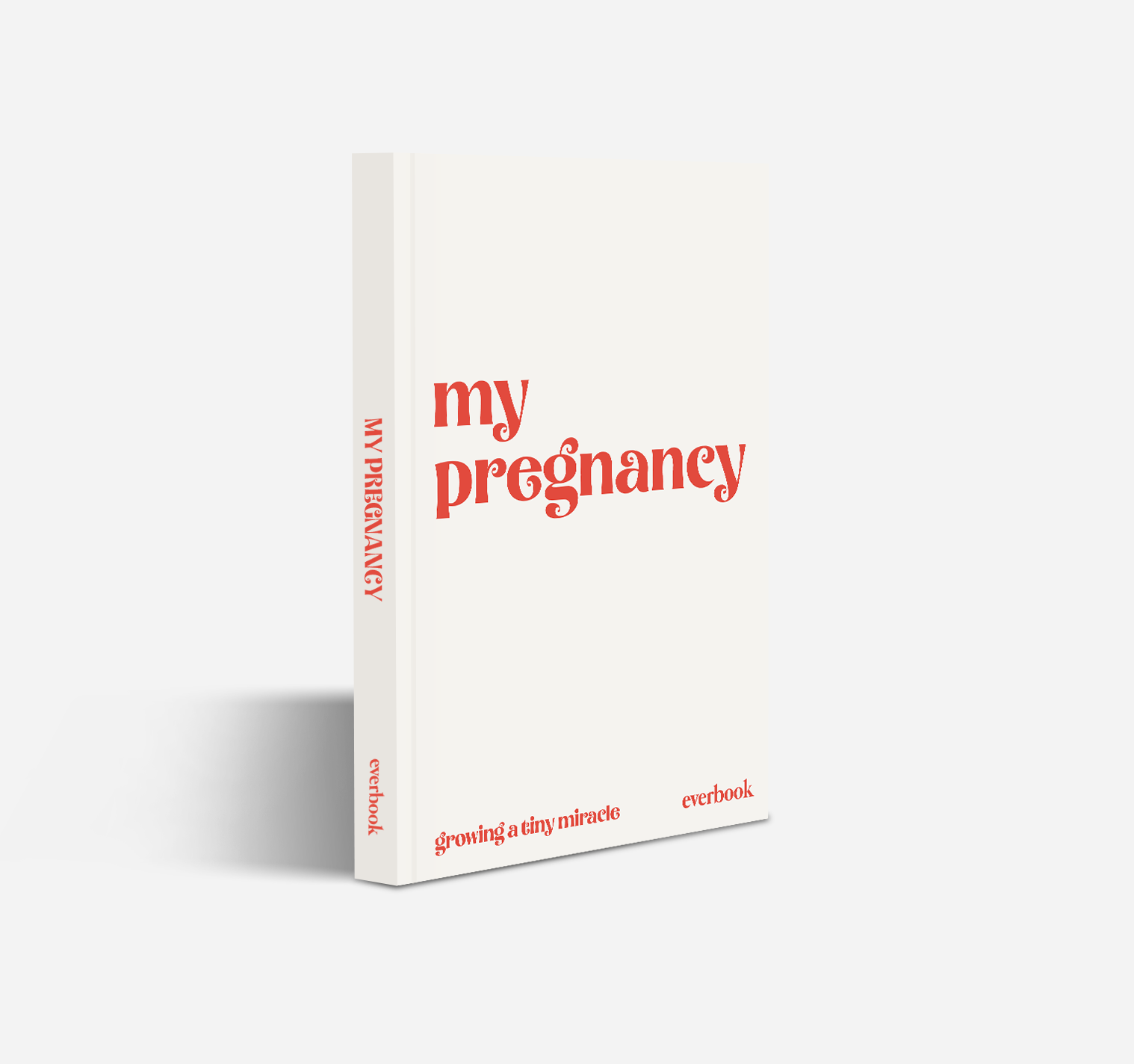 My Pregnancy Photobook